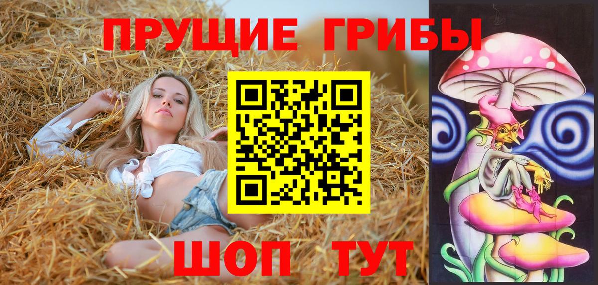 Галлюциногенные грибы прущие грибы Кызыл