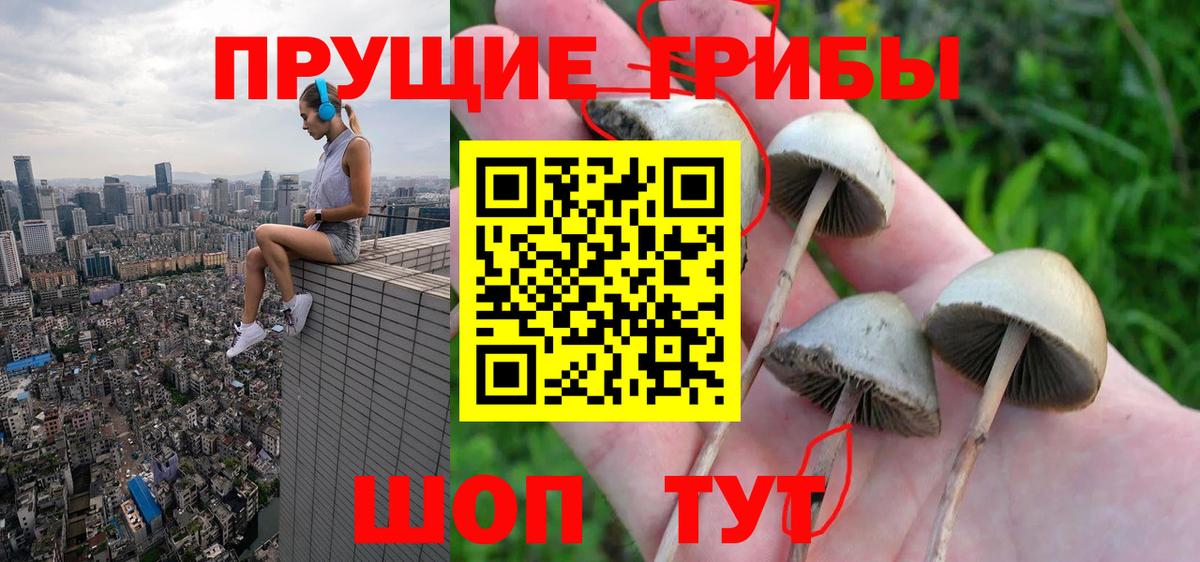Кызыл  Псилоцибиновые грибы мицелий  Вход с VPN 
